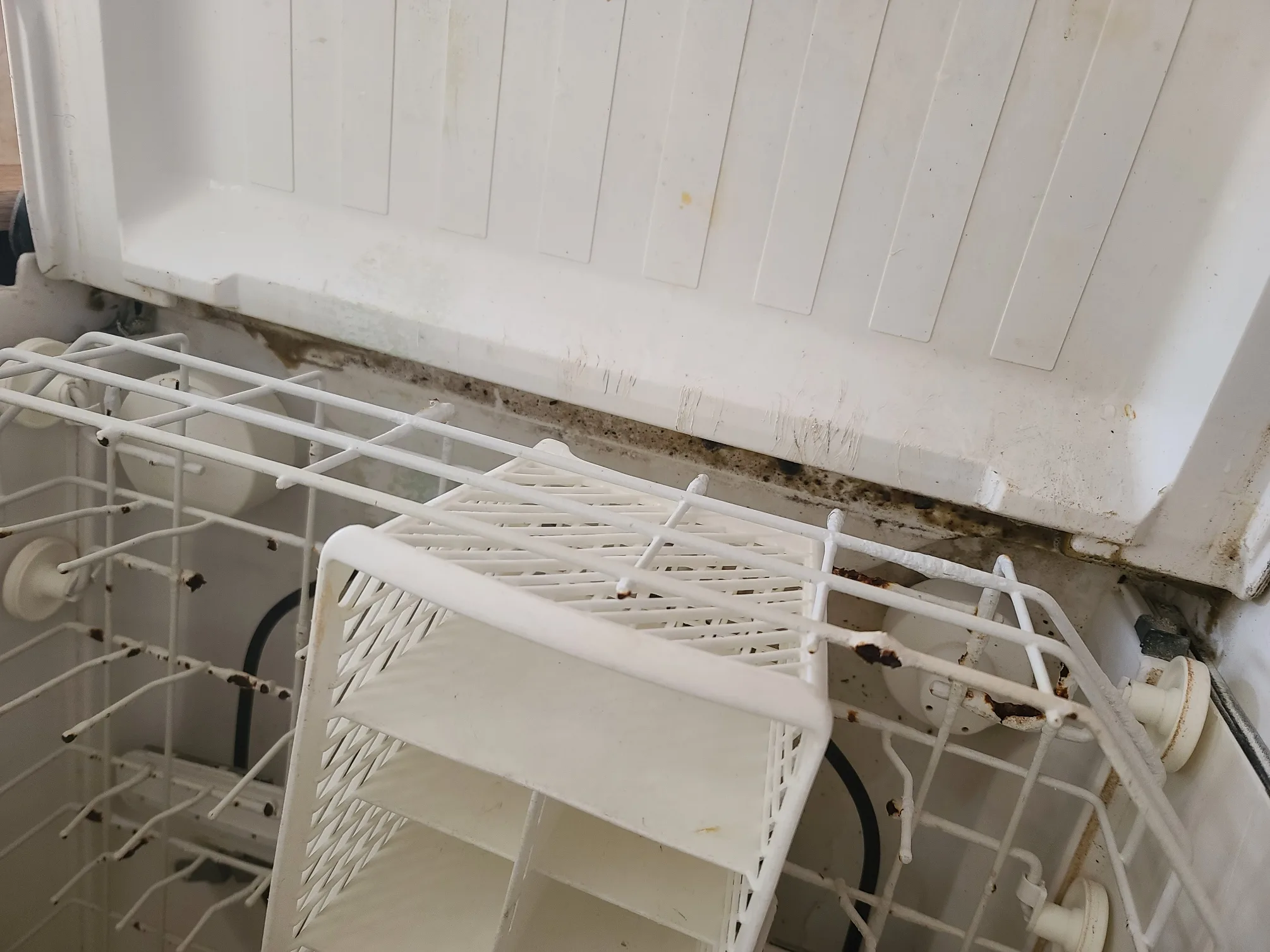 Landlord sees no problem with this.